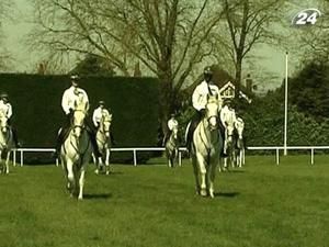 Королевская конная гвардия готовится к свадебному эскорту