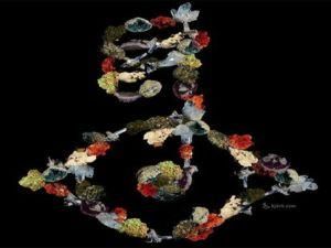 Бьорк назвала дату виходу нового альбому "Biophilia" Бьорк назвала дату виходу нового альбому "Biophilia"