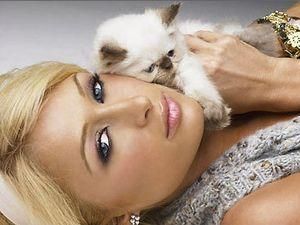 Періс Хілтон заспіває в стилі хаус Періс Хілтон заспіває в стилі хаус