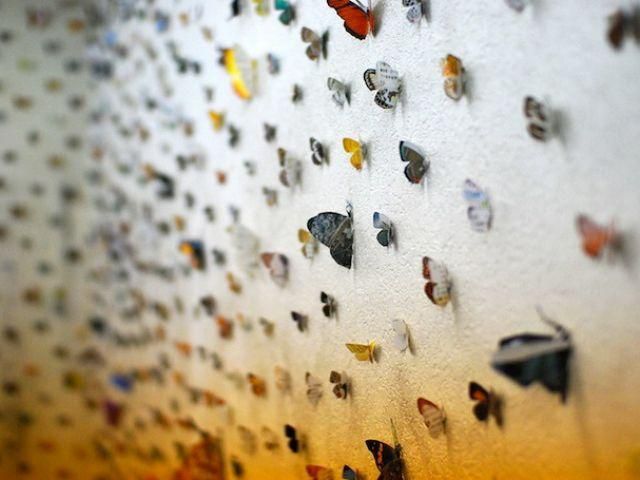 Японський художник оздобив стіни метеликами