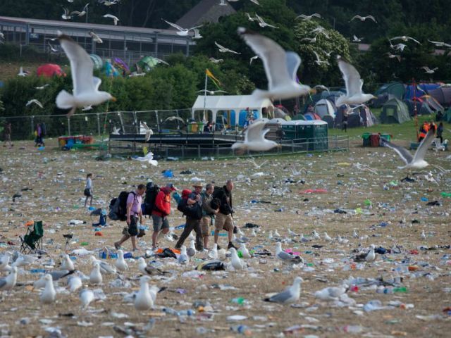 Как британцы собирали мусор после крупнейшего музыкального фестиваля страны