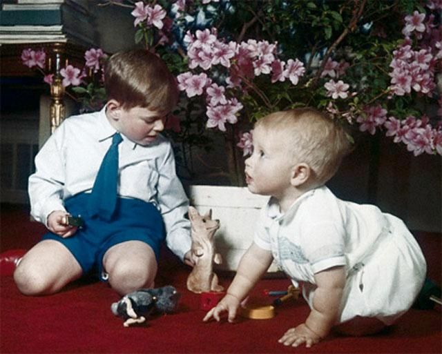 Перші фото новонароджених британських королів та принців Перші фото новонароджених британських королів та принців