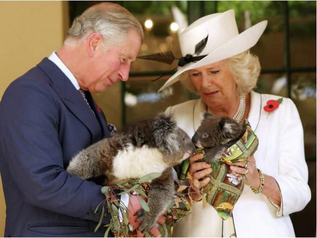 Сын Кейт Миддлтон стал первым внуком принца Чарльза Сын Кейт Миддлтон стал первым внуком принца Чарльза