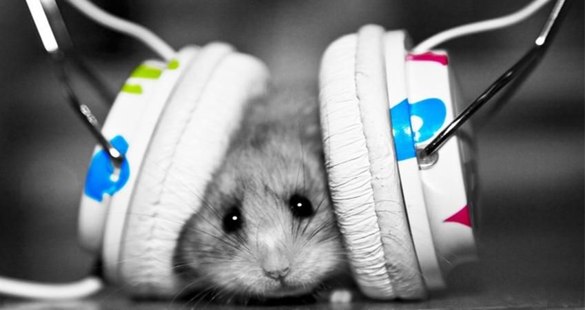 Ученые нашли способ избавиться от песни, которая "засела" в голове Ученые нашли способ избавиться от песни, которая "засела" в голове