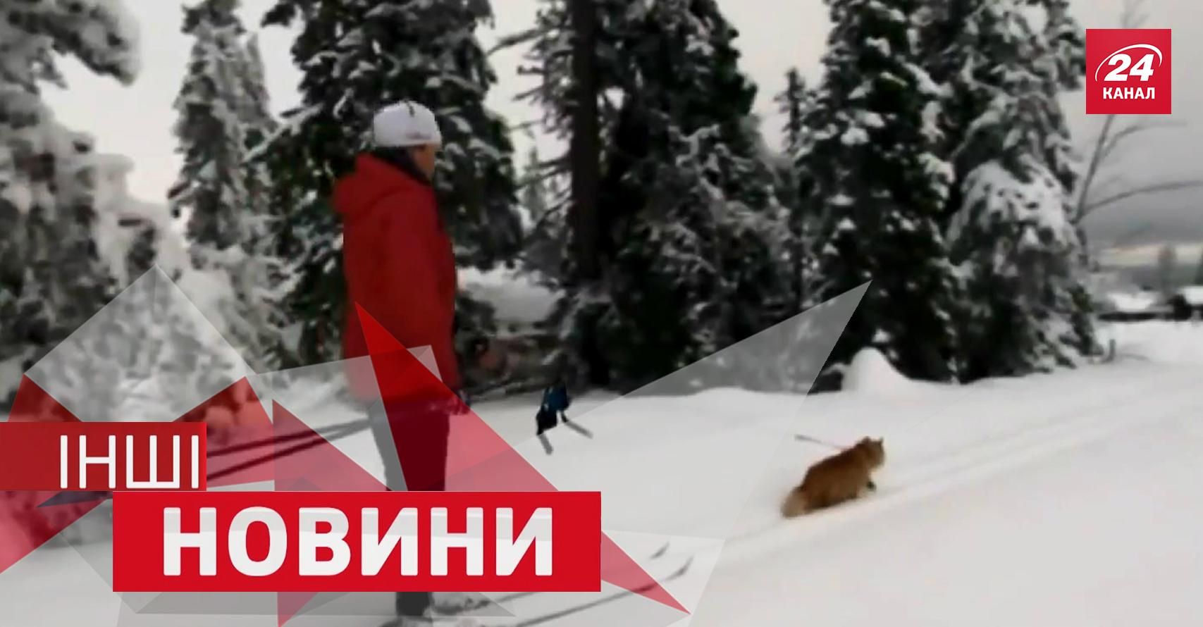 ДРУГИЕ новости. Рамазотти потренировался с Месси. Кот стал ездовым животным ДРУГИЕ новости. Рамазотти потренировался с Месси. Кот стал ездовым животным