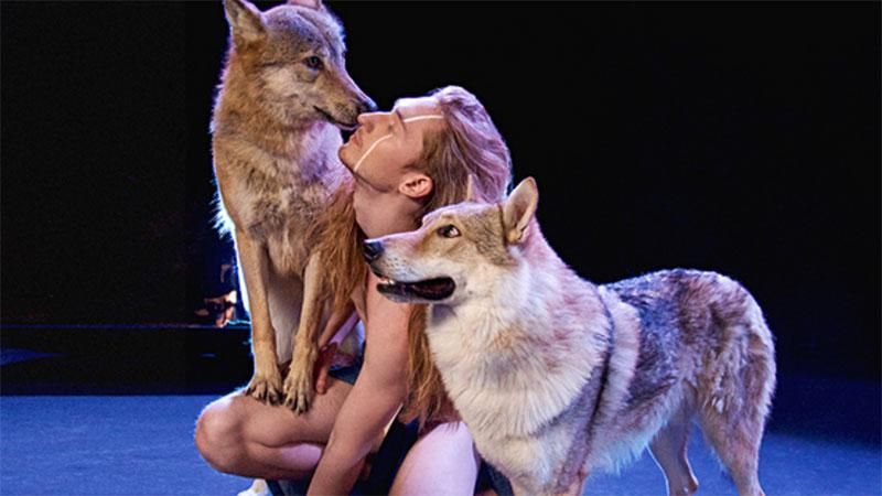 Белорусский певец выступит на Евровидении полностью голым Белорусский певец выступит на Евровидении полностью голым