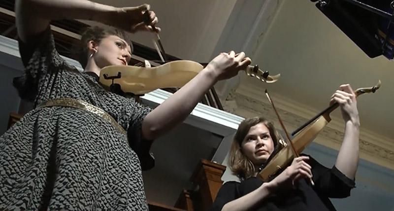 В Лондоне струны для скрипки сделали пауки