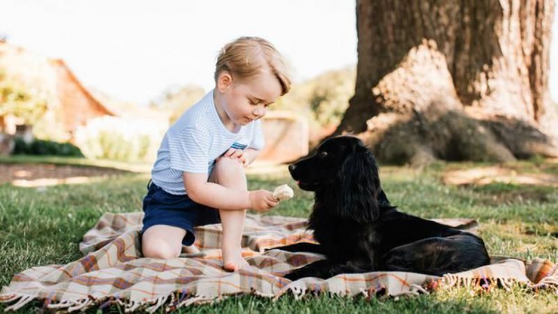 Принцу Джорджу – 3: появились милые праздничные фото Принцу Джорджу – 3: появились милые праздничные фото