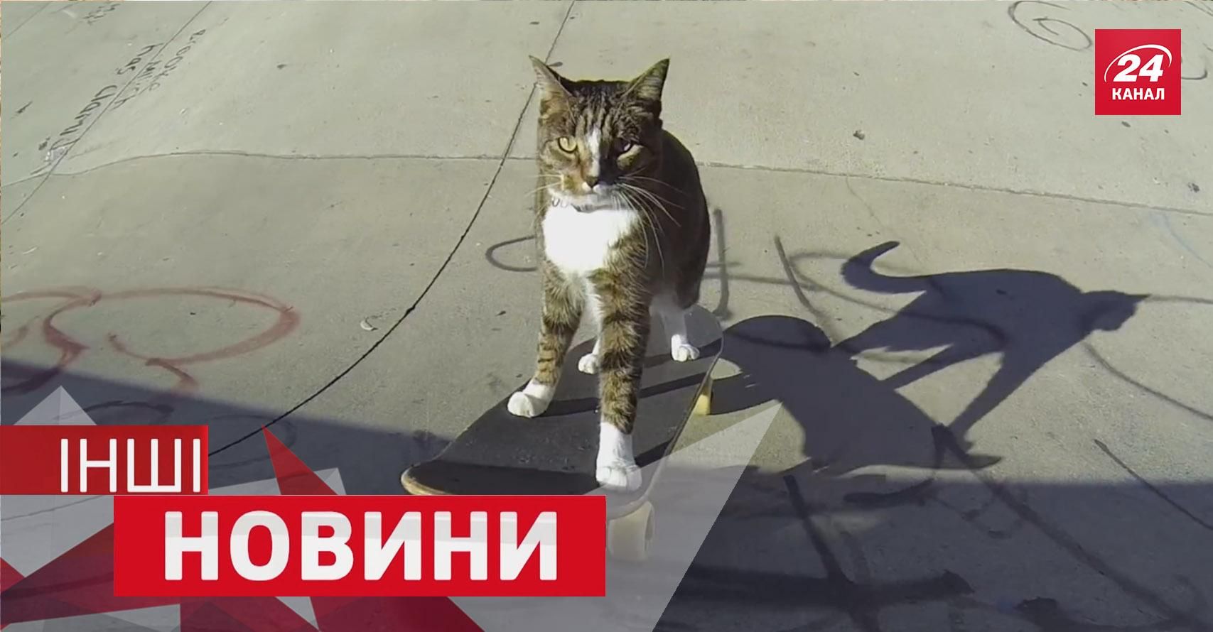 ІНШІ новини. Кіт на скейті став зіркою мережі. Чому вчителі влаштували масову бійку ІНШІ новини. Кіт на скейті став зіркою мережі. Чому вчителі влаштували масову бійку