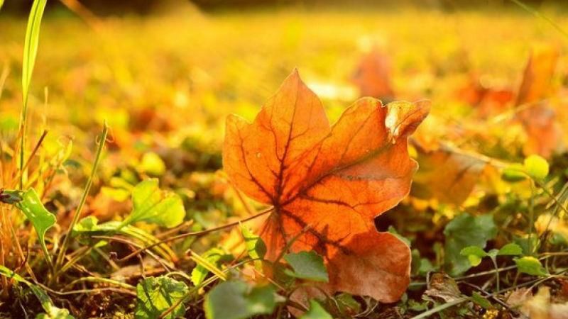 Уже совсем скоро в Украине потеплеет Уже совсем скоро в Украине потеплеет