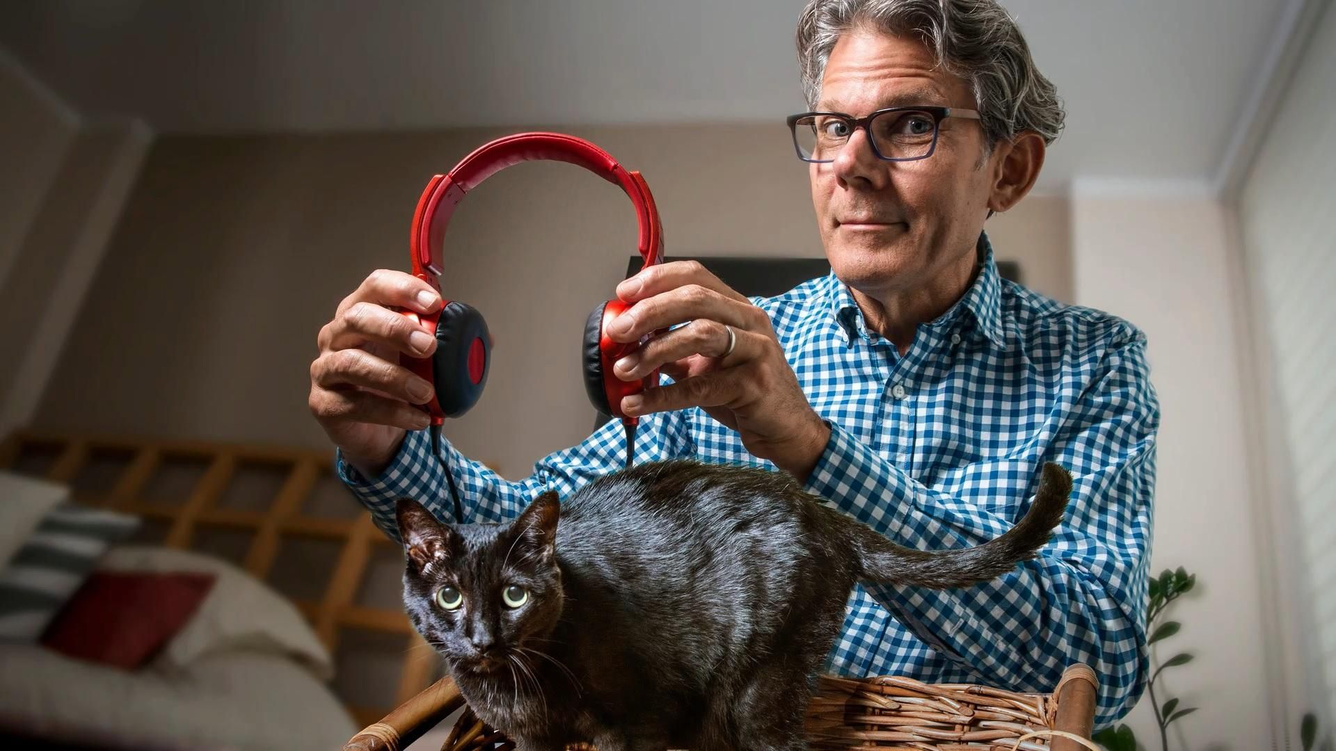 В Британії записали музичний диск для котів В Британії записали музичний диск для котів