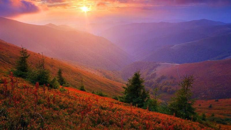 Украинский музыкант поразил клипом о волшебной красоте Карпат Украинский музыкант поразил клипом о волшебной красоте Карпат