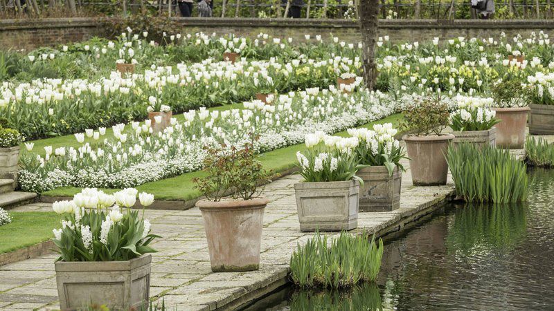 Абсолютна ніжність: як виглядає сад принцеси Діани Абсолютна ніжність: як виглядає сад принцеси Діани