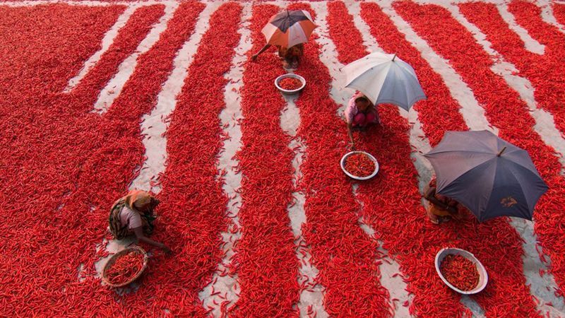 National Geographic показал живописные фото с тревел-конкурса National Geographic показал живописные фото с тревел-конкурса