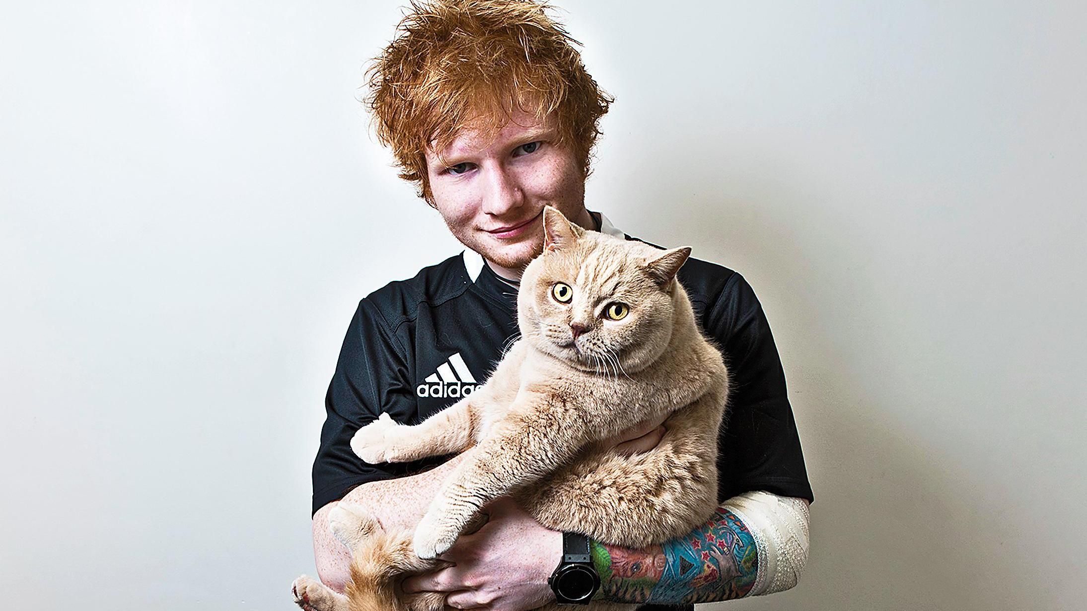 150 котів покликали відомого співака відвідати їхній острів: миловидне відео 150 котів покликали відомого співака відвідати їхній острів: миловидне відео