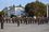 Парад військових оркестрів у Житомирі