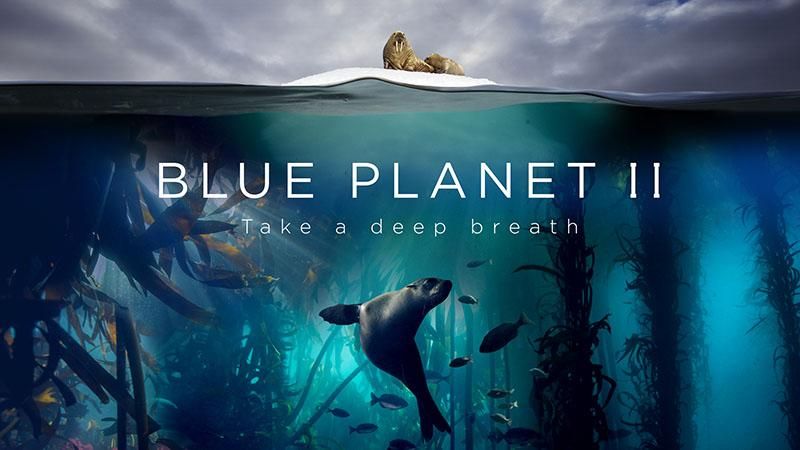 Ханс Циммер и Radiohead презентовали саундтрек к серии фильмов про океан: увлекательное видео