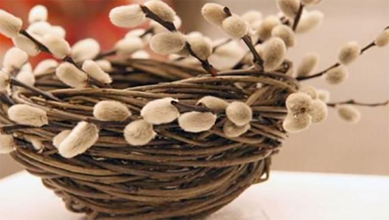 Як зірки привітали українців з Вербною неділею: фото Як зірки привітали українців з Вербною неділею: фото