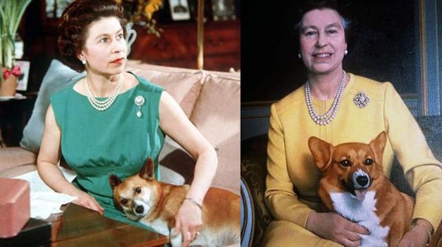 Єлизавета II оплакує смерть свого останнього собаки породи коргі
