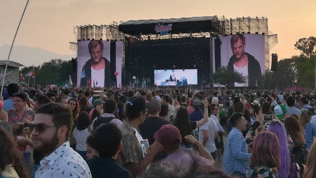 Смерть молодого EDM-музыканта из Швеции Avicii: появились новые детали