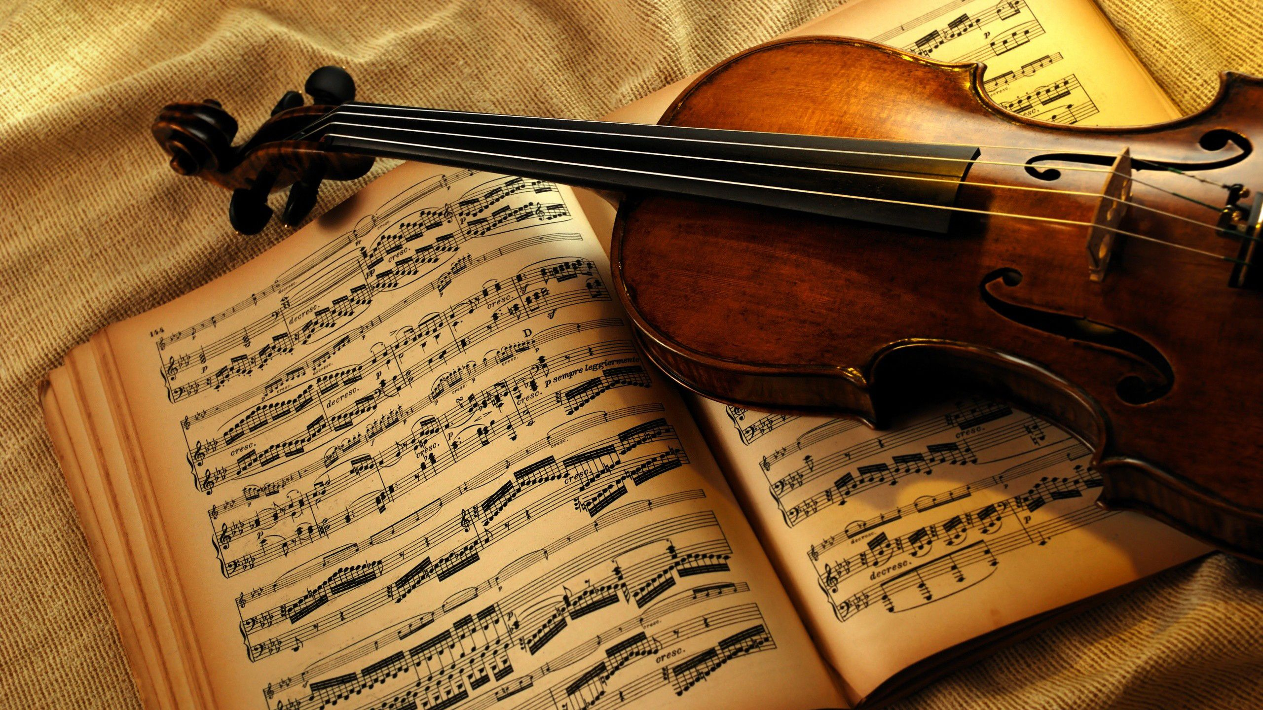 Во Львове детей знакомят с классической музыкой во время фестиваля LvivMozArt