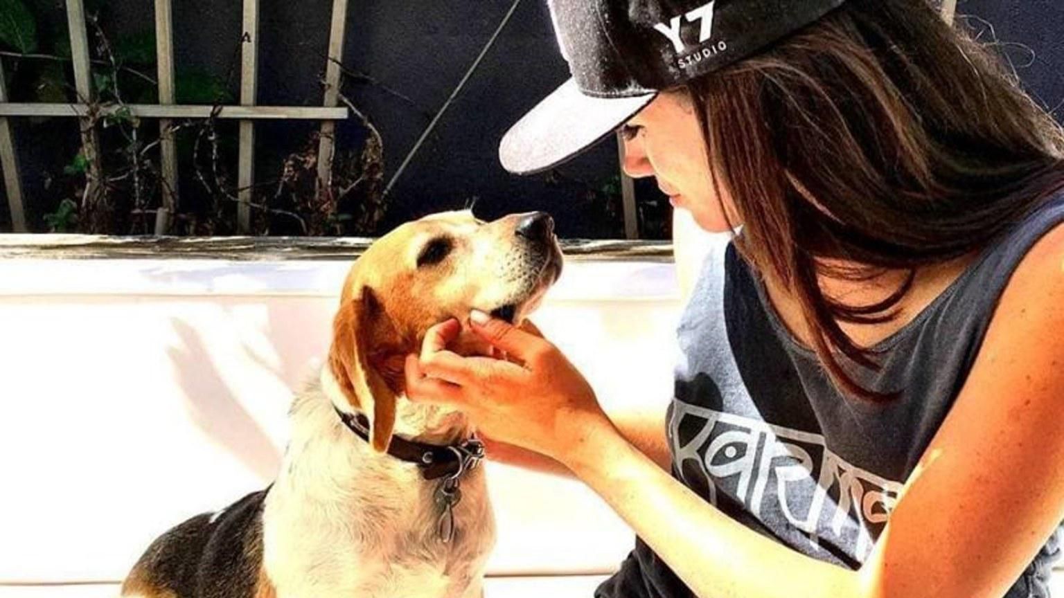 Меган Маркл і принц Гаррі завели собаку, – ЗМІ Меган Маркл і принц Гаррі завели собаку, – ЗМІ