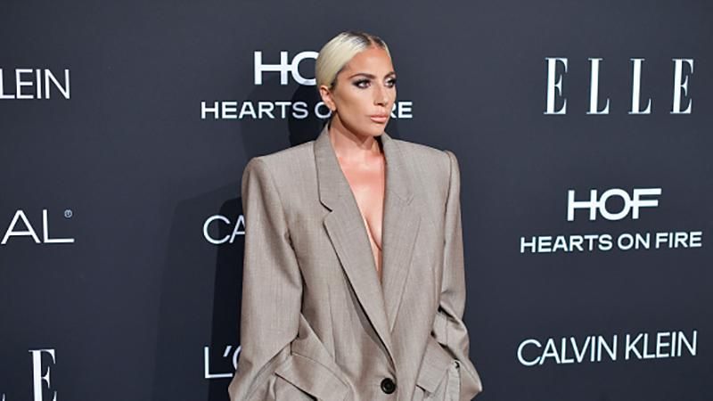 Леді Гага прийшла на світський захід у величезному костюмі без білизни: пікантні фото Леді Гага прийшла на світський захід у величезному костюмі без білизни: пікантні фото