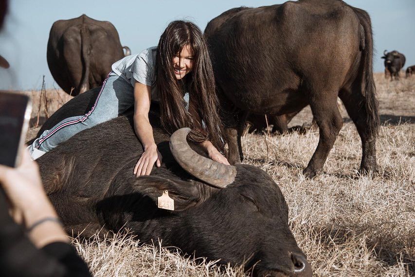 Енергія та драйв: Руслана приручила карпатського буйвола у новій фотосесії