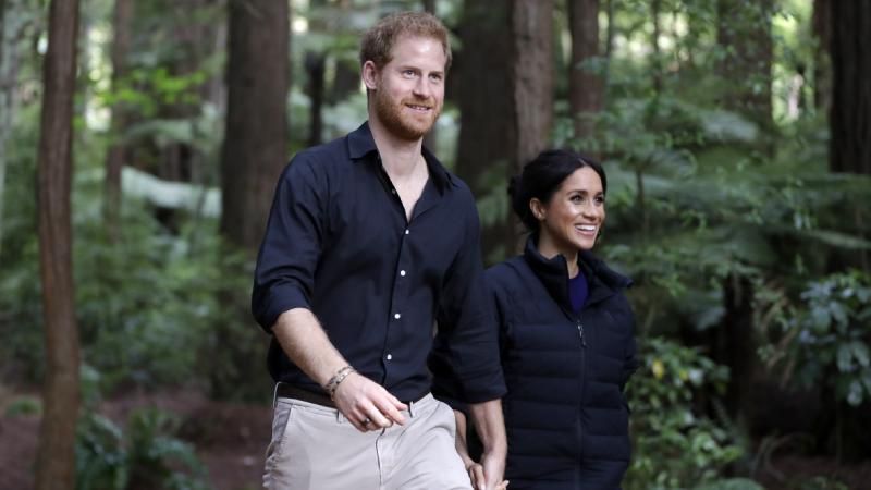 Принц Гаррі зробив фото вагітної Меган Маркл: чарівний знімок Принц Гаррі зробив фото вагітної Меган Маркл: чарівний знімок