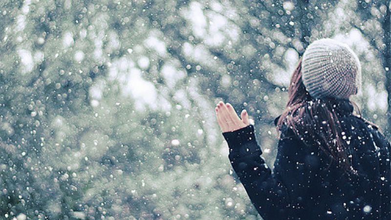 Перший сніг в Києві: як українські зірки зустріли зимову погоду Перший сніг в Києві: як українські зірки зустріли зимову погоду