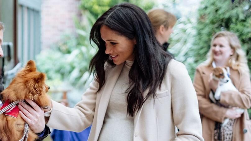 Меган Маркл відвідала притулок, який взяла під свою опіку, в сукні від мас-маркету за 25 фунтів Меган Маркл відвідала притулок, який взяла під свою опіку, в сукні від мас-маркету за 25 фунтів