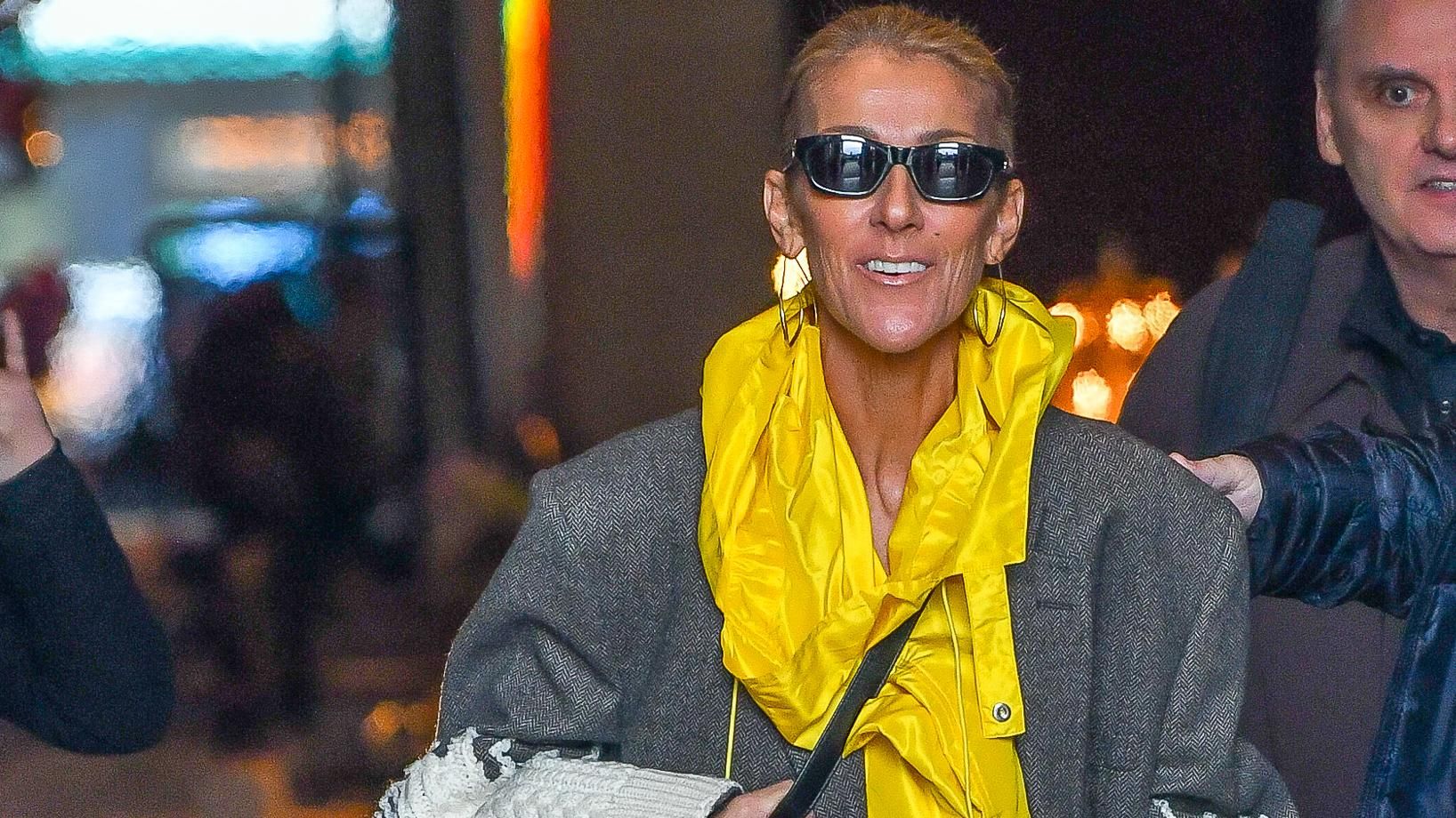 Селин Дион поразила очередным выходом в эпатажном наряде: яркие фото Селин Дион поразила очередным выходом в эпатажном наряде: яркие фото