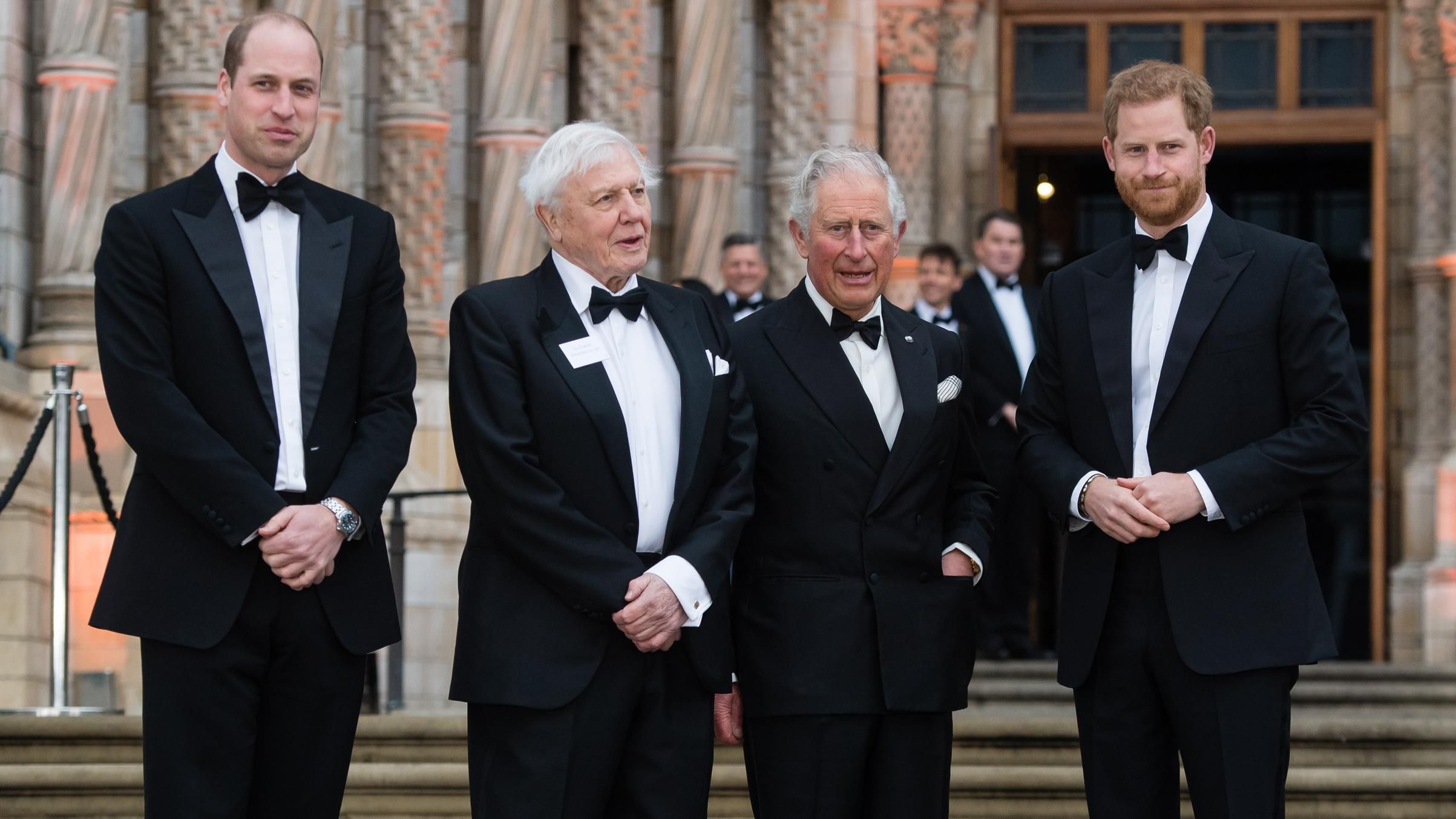 Без своїх герцогинь: принц Чарльз, Вільям і Гаррі відвідали прем'єру документального серіалу