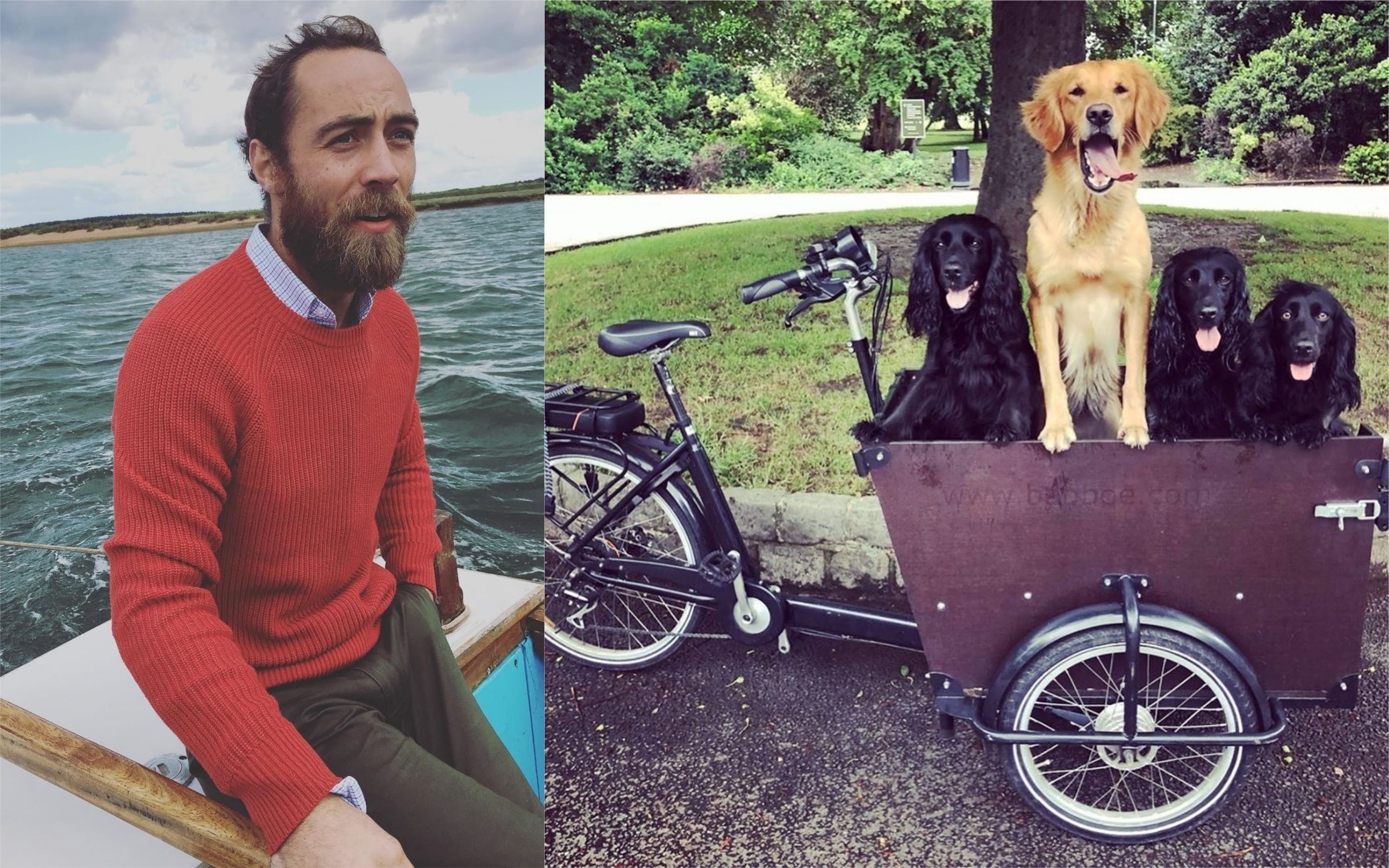 Брат Кейт Міддлтон заявив про крадіжку унікального велосипеда, на якому він возив своїх собак
