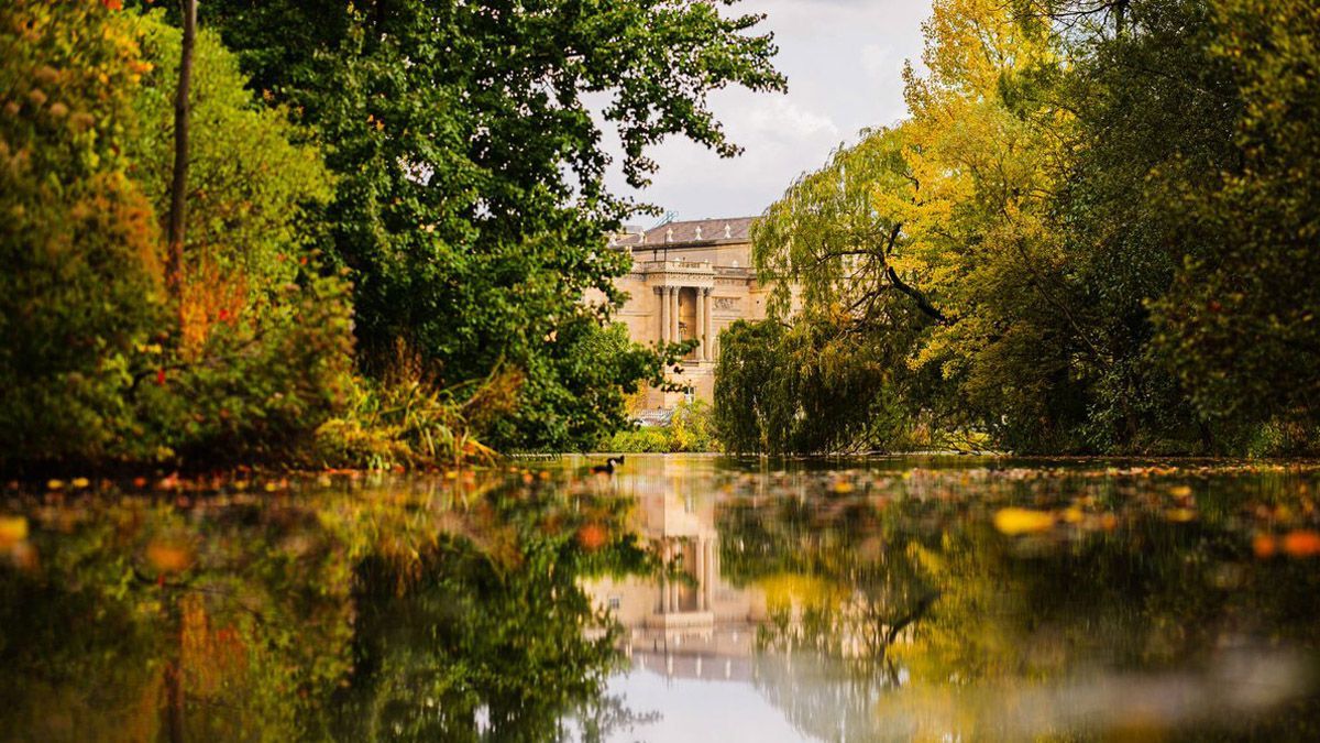 Сеть покорили осенние снимки садов Букингемского дворца: фото