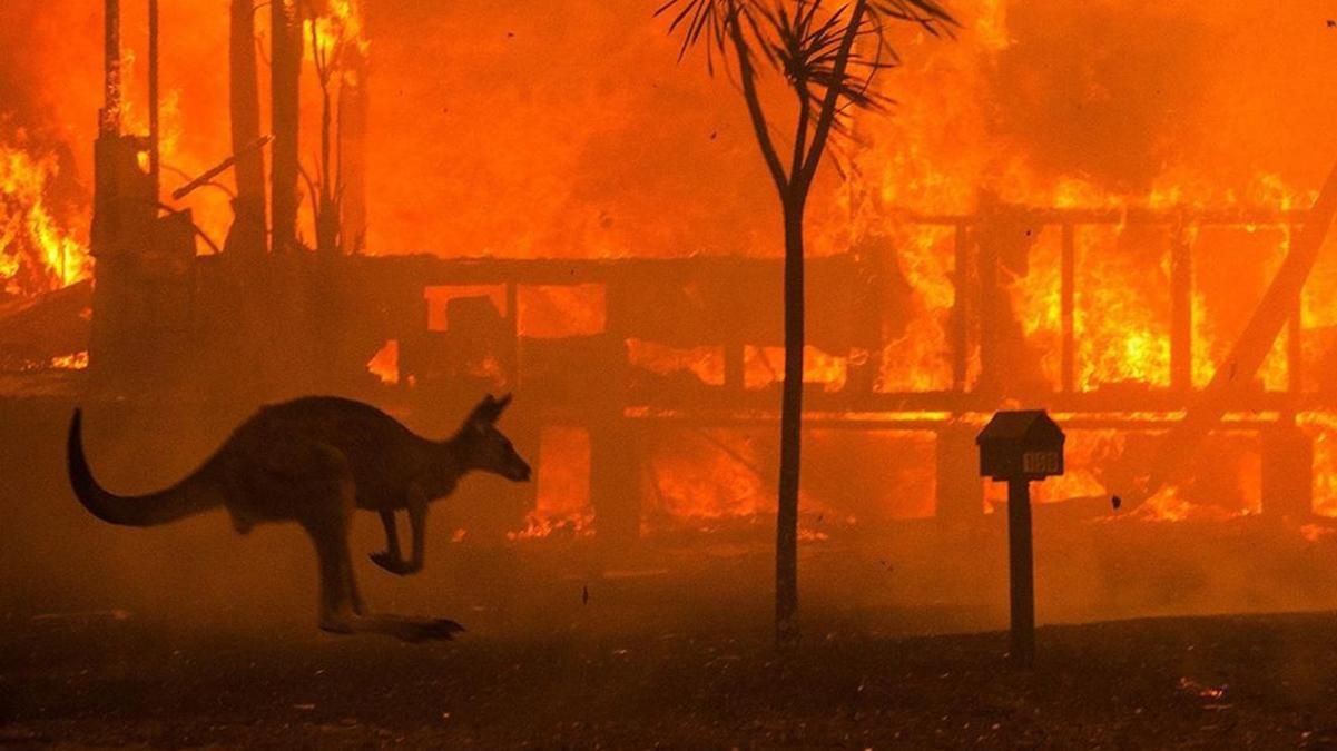 Австралія у вогні: знаменитості відреагували на нищівну трагедію 