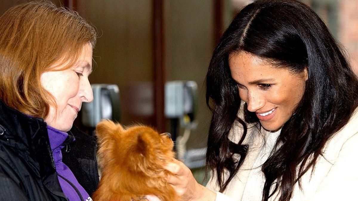 Меган Маркл осуществила тайный выход перед отъездом в Канаду: фото Меган Маркл осуществила тайный выход перед отъездом в Канаду: фото