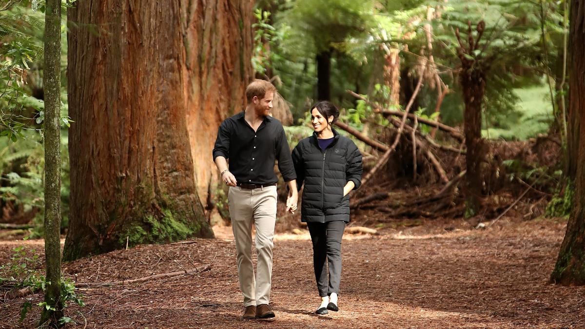 Елизавета II лишила принца Гарри и Меган Маркл любимой миссии, – СМИ Елизавета II лишила принца Гарри и Меган Маркл любимой миссии, – СМИ