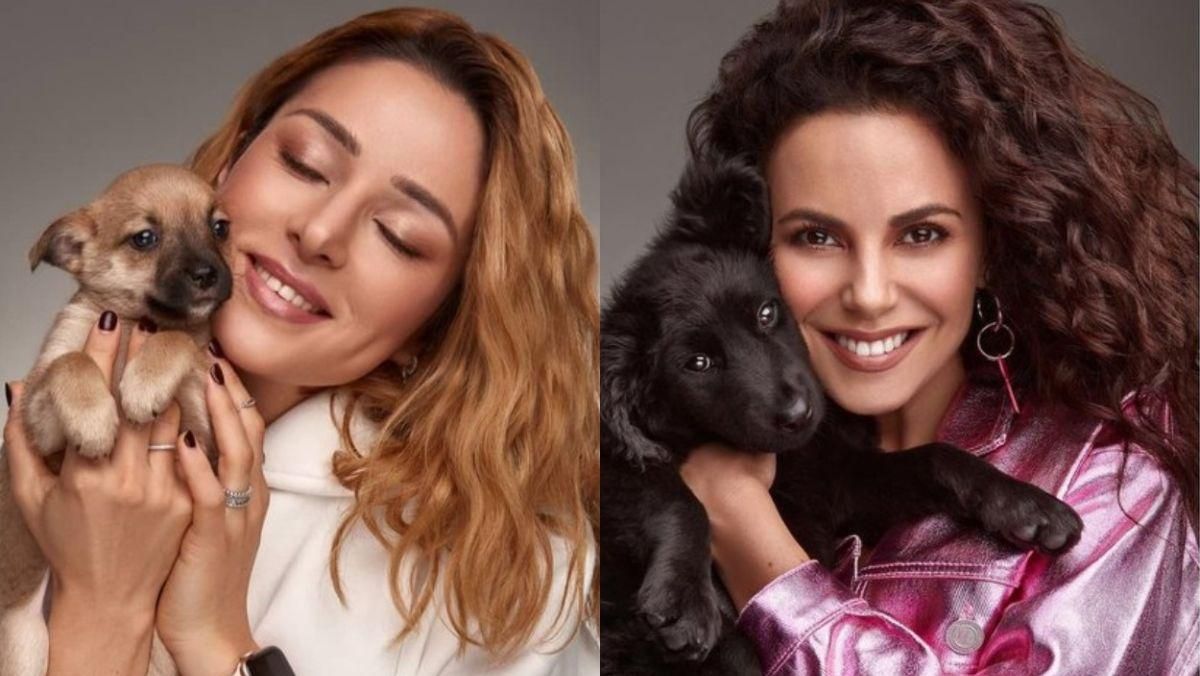 Українські зірки знялися у фотосесії з безпритульними тваринами Українські зірки знялися у фотосесії з безпритульними тваринами