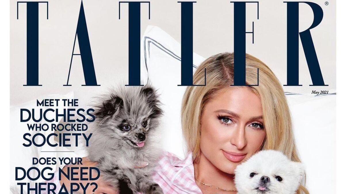 Пэрис Хилтон купила чихуахуа сумку за 5500 долларов сеть возмущена Пэрис Хилтон купила чихуахуа сумку за 5500 долларов сеть возмущена