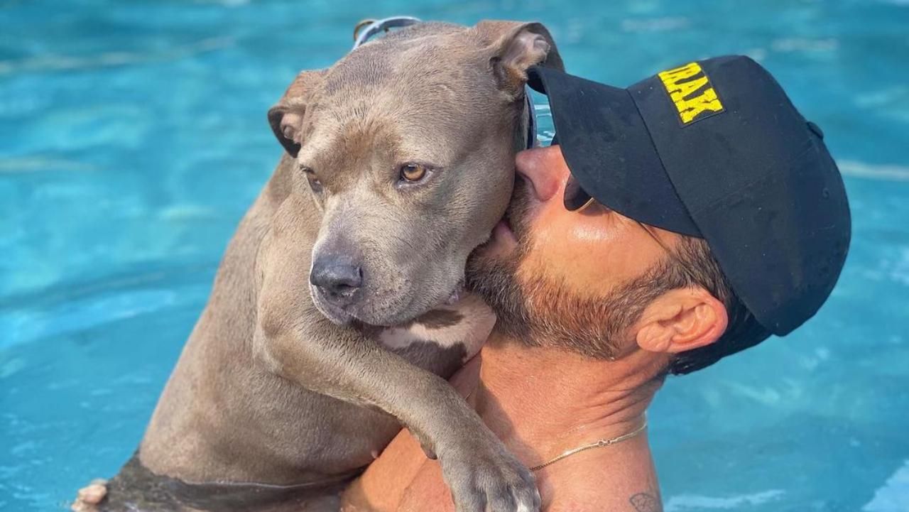 Джастин Теру снялся для журнала с усыновленным собакой Джастин Теру снялся для журнала с усыновленным собакой