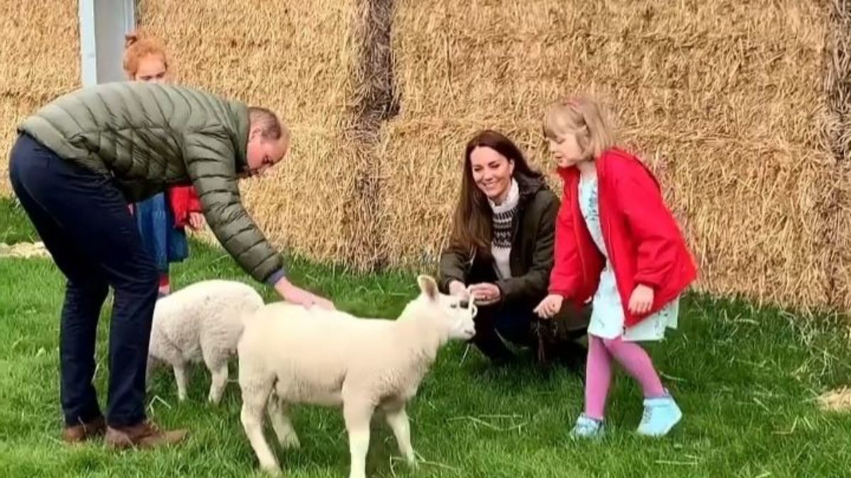 Кейт Міддлтон та принц Вільям відвідали ферму: миловидне відео 