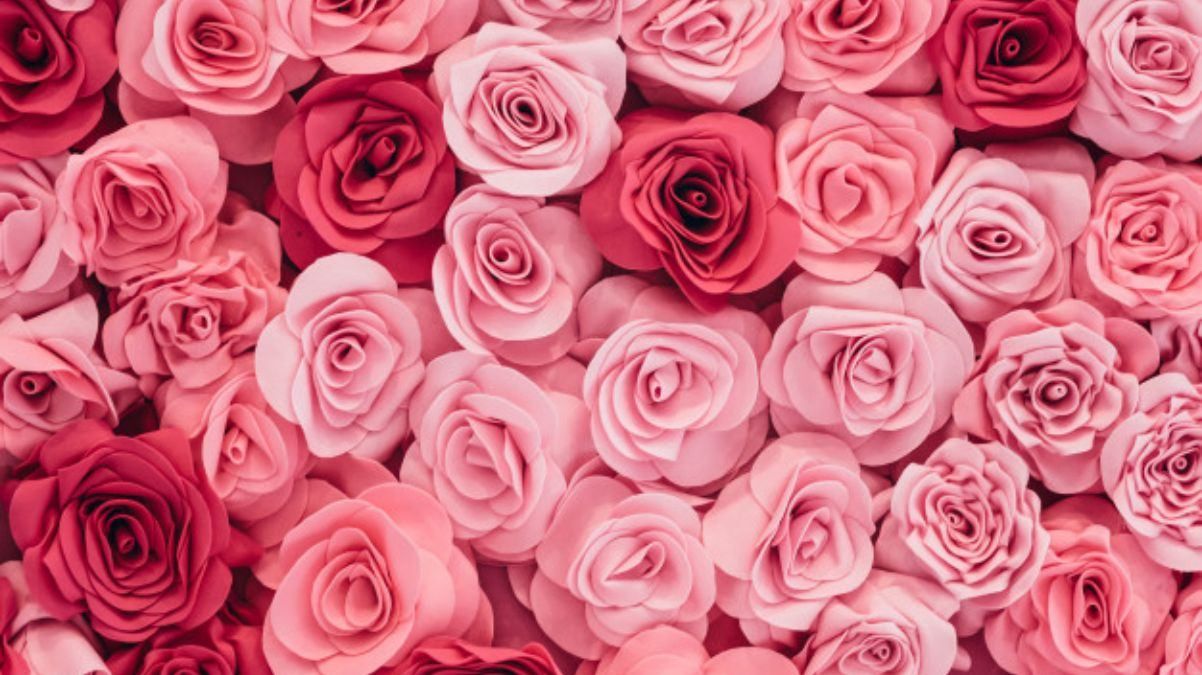 День матери 2021: плейлист к празднику День матери 2021: плейлист к празднику