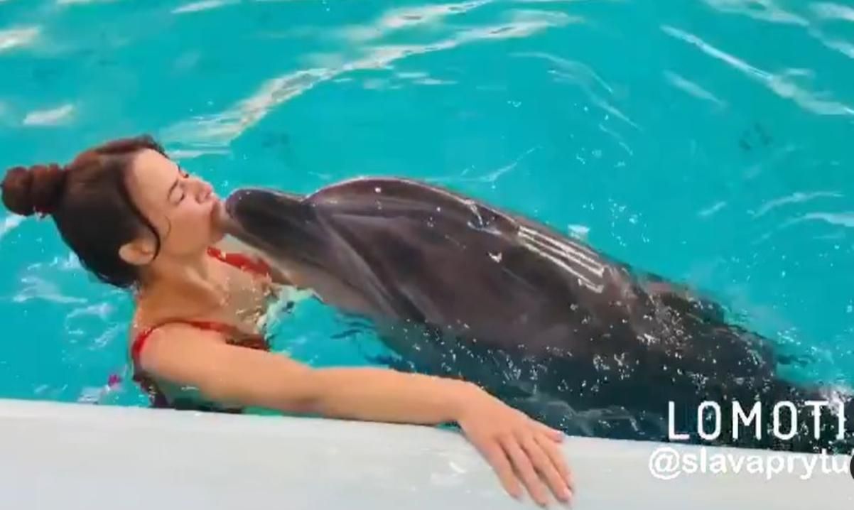 SLAVIA відвідала дельфінарій і отримала хвилю критики від фанатів SLAVIA відвідала дельфінарій і отримала хвилю критики від фанатів