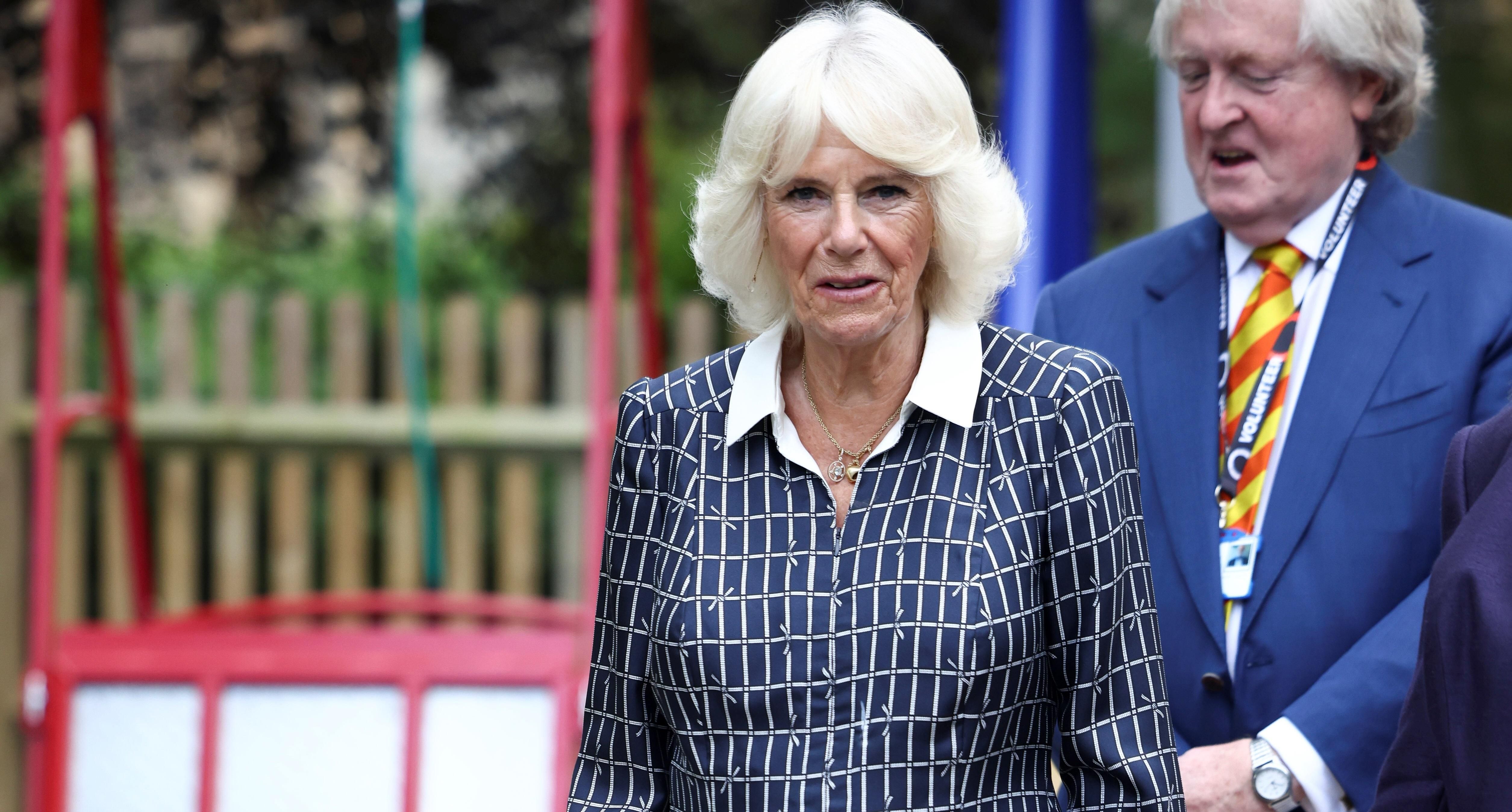 Герцогиня Камилла захватила элегантным образом в платье с принтом фото Герцогиня Камилла захватила элегантным образом в платье с принтом фото