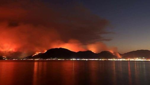 "Наш дім горить": як турецькі знаменитості реагують на стихійні пожежі в країні