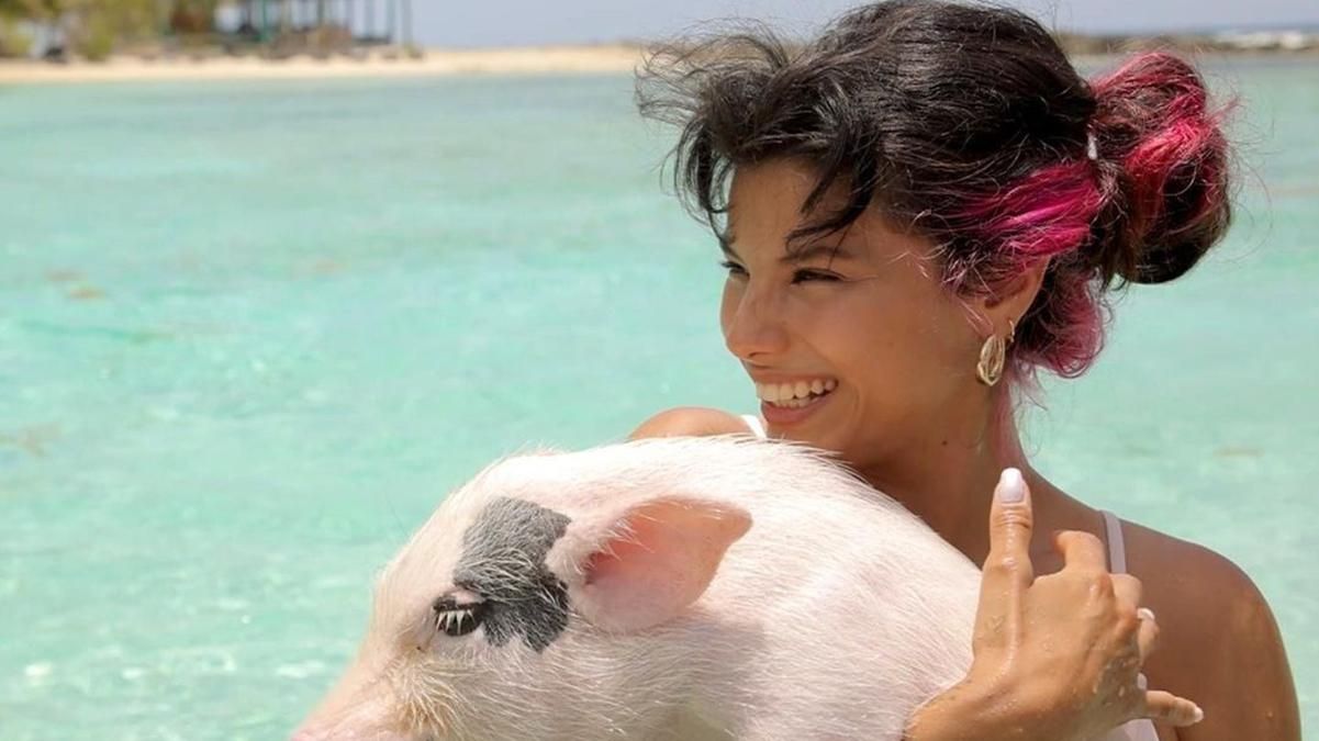 Мішель Андраде поплавала зі свинями в Карибському морі: курйозні фото - Новини шоу-бізнесу - Showbiz