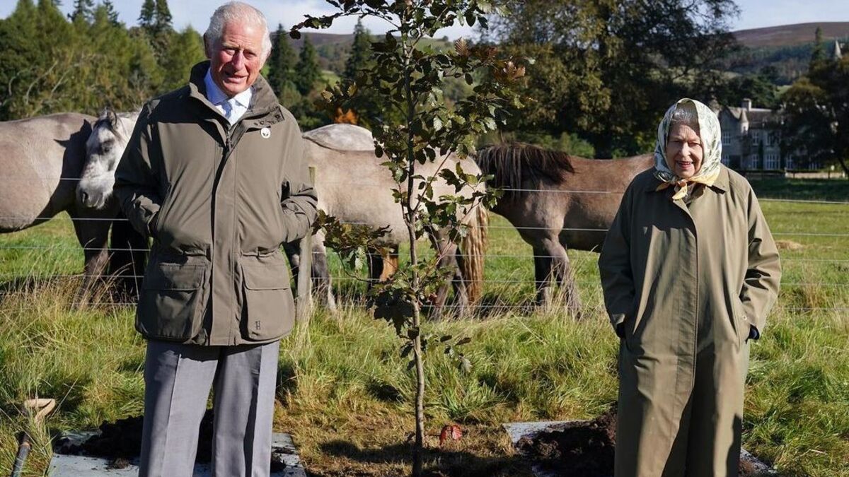 Єлизавета II та принц Чарльз вперше за довгий час вийшли у світ і посадили дерево у Балморалі - Новини шоу-бізнесу - Showbiz