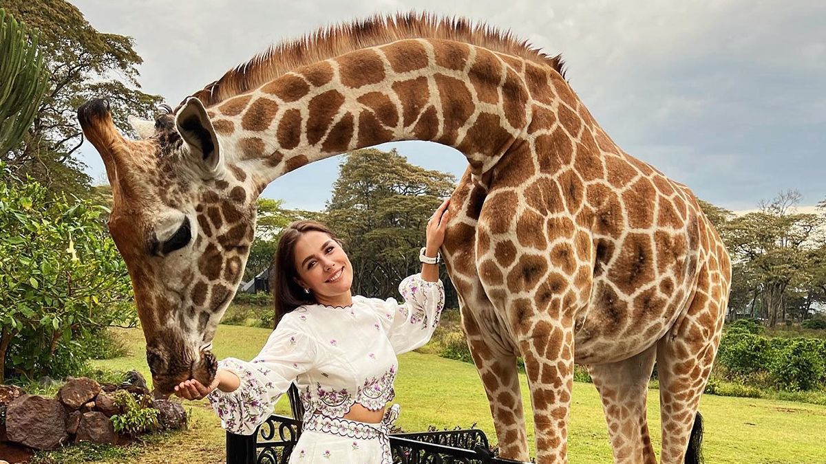 Иванна Онуфрийчук показала, как кормила жирафов в Кении: милые кадры