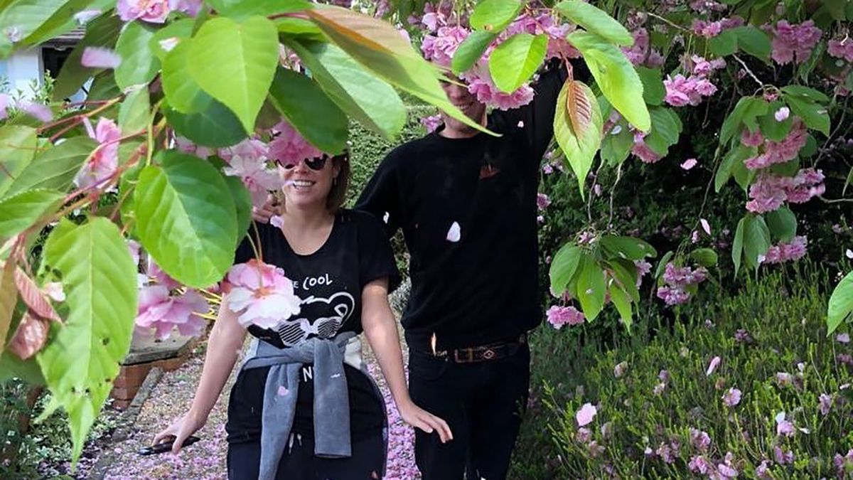 Королівська сім'я теж святкує: принцеса Євгенія привітала чоловіка з Днем Валентина - Новини шоу-бізнесу - Showbiz Королівська сім'я теж святкує: принцеса Євгенія привітала чоловіка з Днем Валентина - Новини шоу-бізнесу - Showbiz